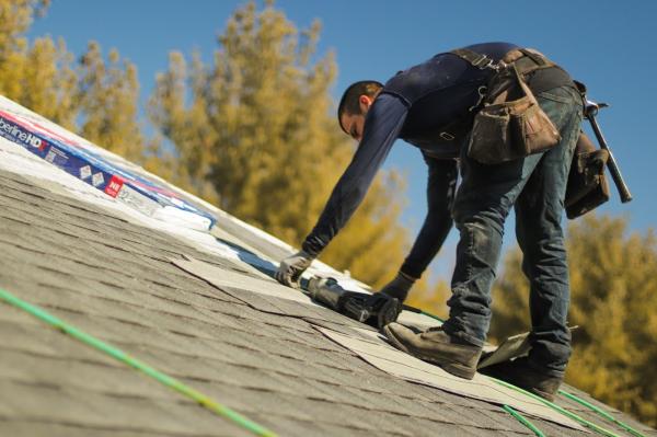 Alternative Roofing