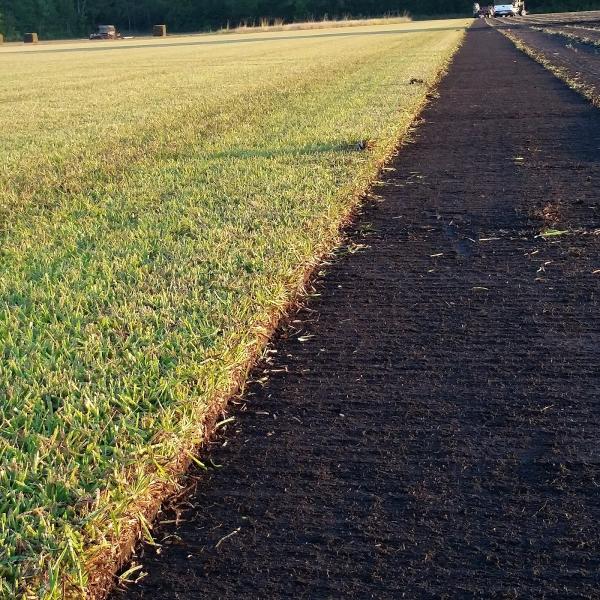 Kellum Sod Farm