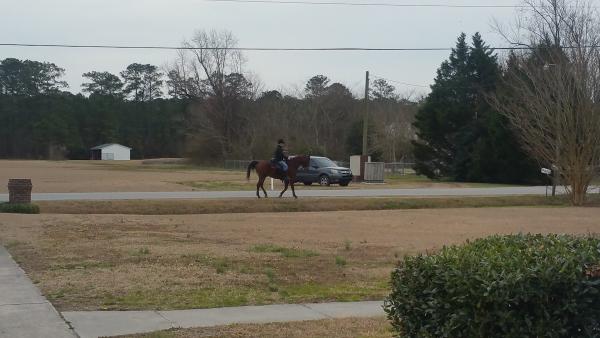 Kellum Sod Farm
