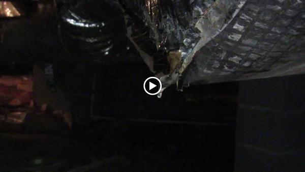 Eagle's Eye Home Inspection