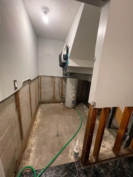 Royal Mold Specialist