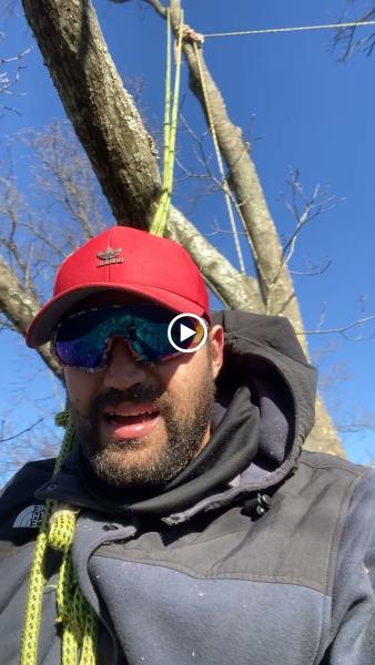Stokes Tree Solutions