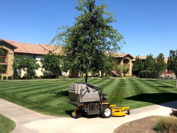 Silva's Landscaping Co.