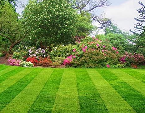 Crespin Landscaping LLC