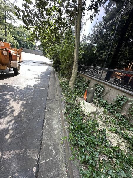 William's Tree Care VA