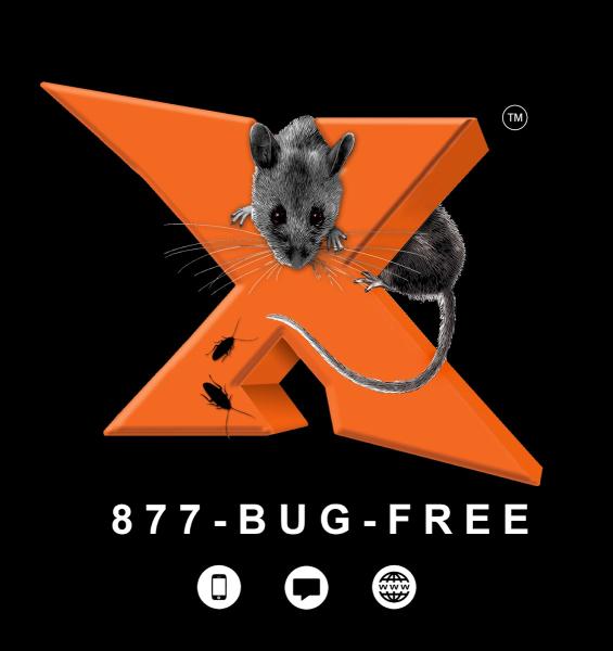 Expel Exterminating Experts