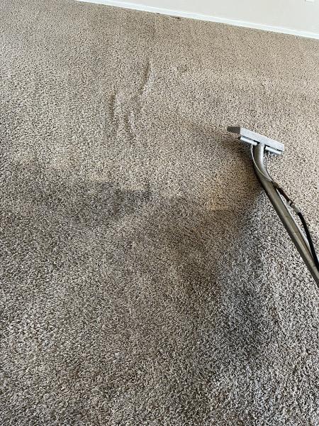 Professional Carpet & Tile Cleaning Phoenix