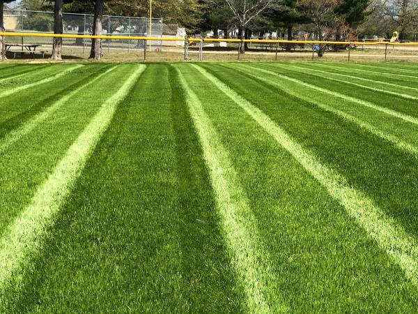 Hoster's Professional Grounds & Landscape