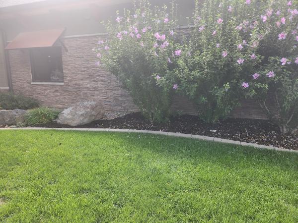Total Landscape Management