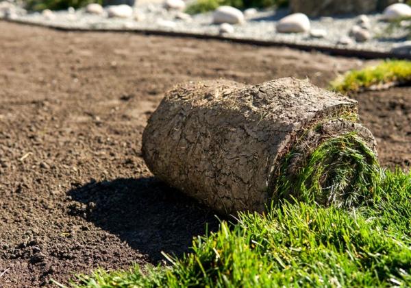 Total Landscape Management