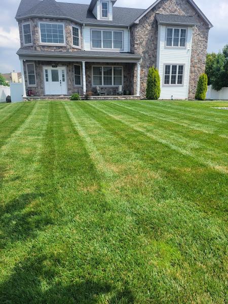 All Green Nature Landscaping & Lawn Care LLC