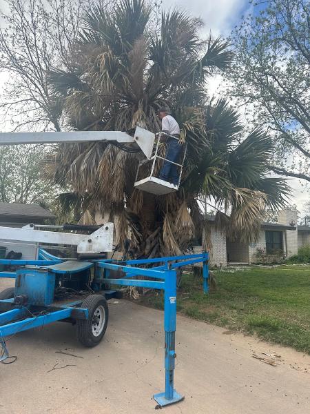 Burney's Tree Services