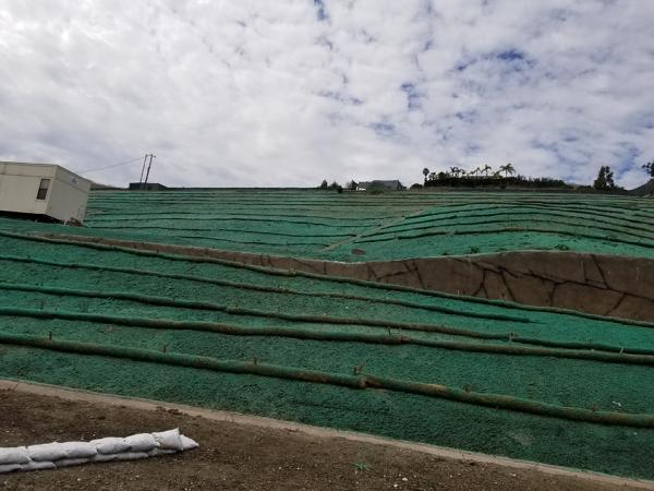 Canyon Hydroseeding