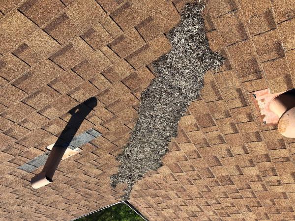 Roof MD
