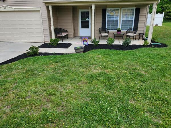 Maxx Pest Control & Lawn Care