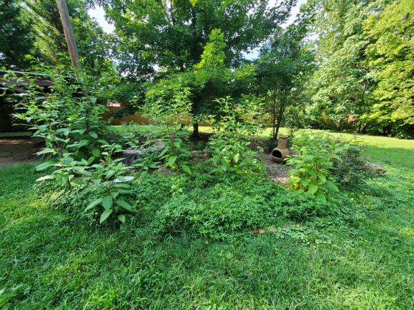 Maxx Pest Control & Lawn Care