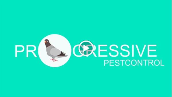 Progressive Pest Control