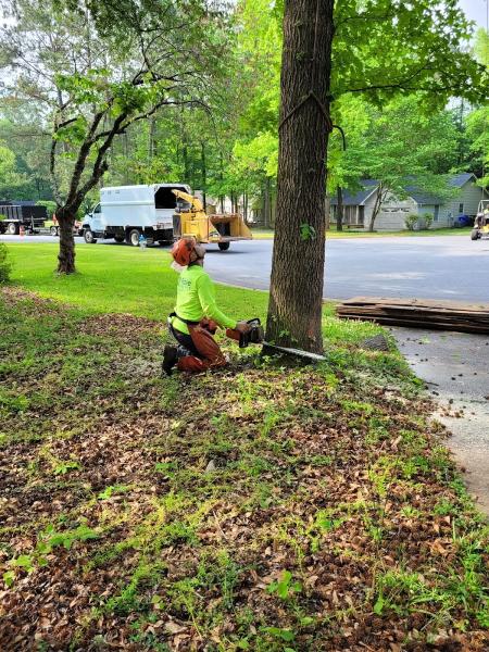Roble Tree Care