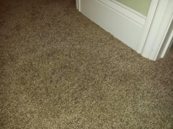 Langenwalter Carpet Cleaning