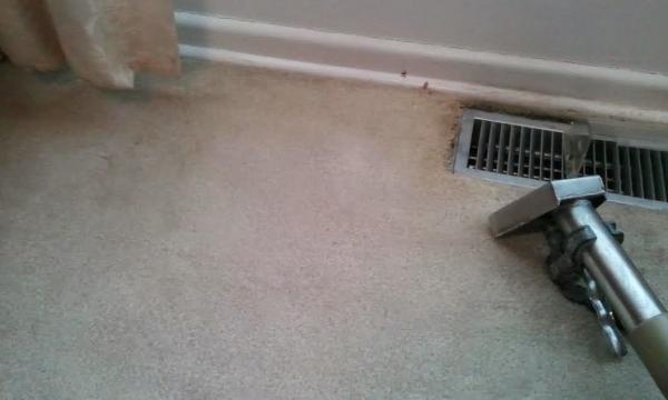 Langenwalter Carpet Cleaning