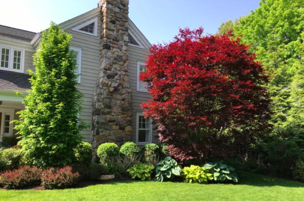 Perfect Plantings