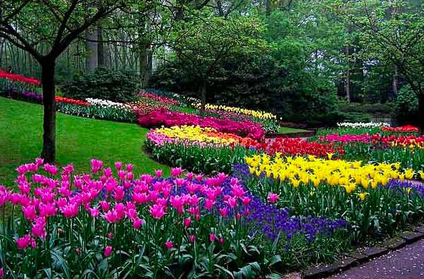 Perfect Plantings