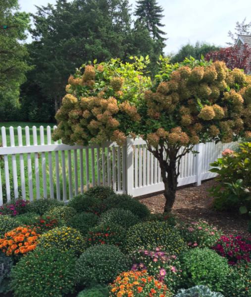 Perfect Plantings