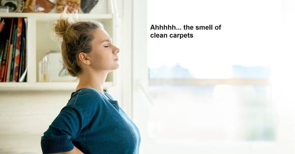 Emerald Valley Carpet Cleaning