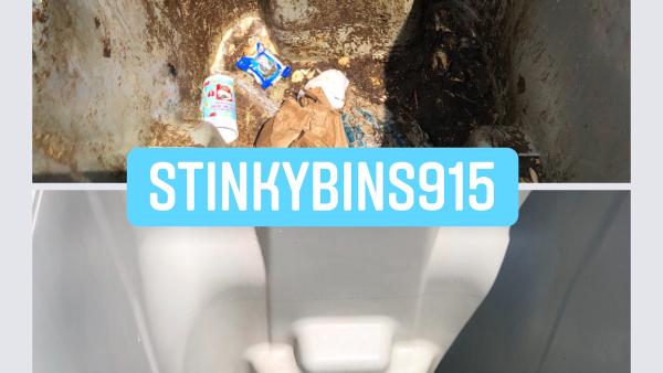 Stinky Bins 915