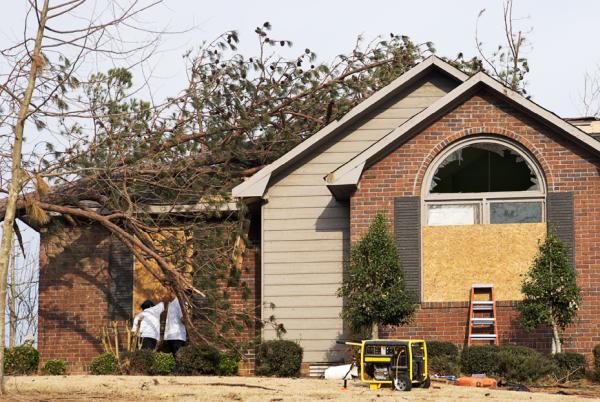 Brian's Professional Cleaning & Restoration Co. Inc.