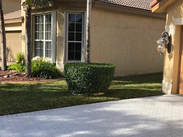 Clover Tree Service Corp