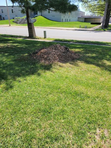 Tri-County Stump Removal