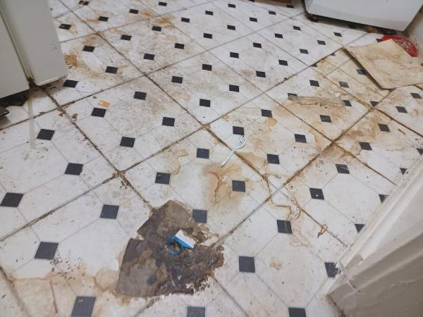 You've Got It Maid Cleaning Services