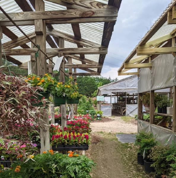 Bear Creek Nursery
