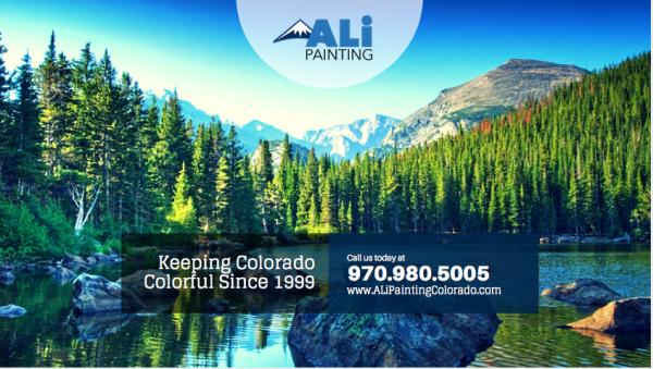 Ali Painting Company Colorado