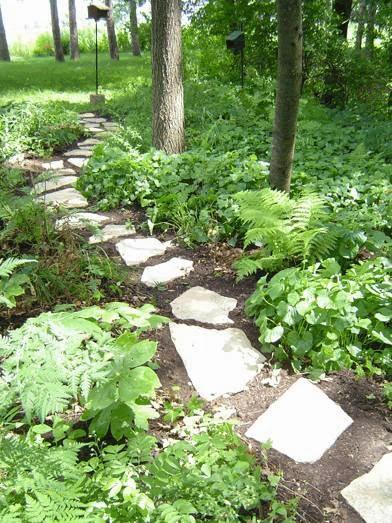 Aquarian Gardens