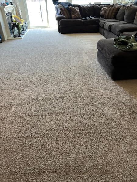 Complete Carpet and Floor Care