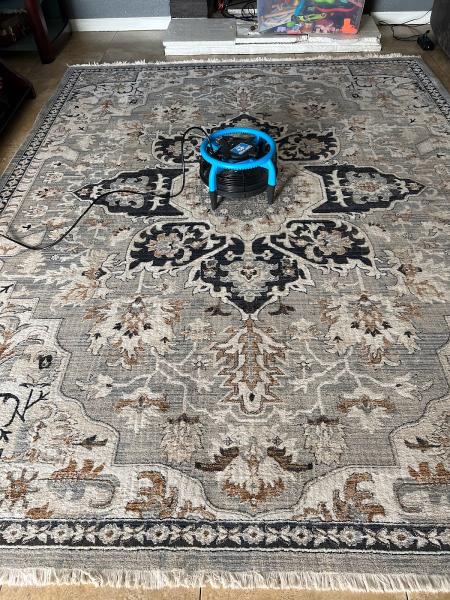 Complete Carpet and Floor Care