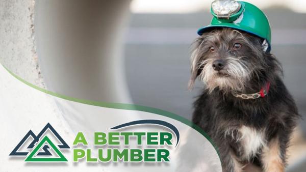A Better Plumber (An Absolute Plumbing Company)