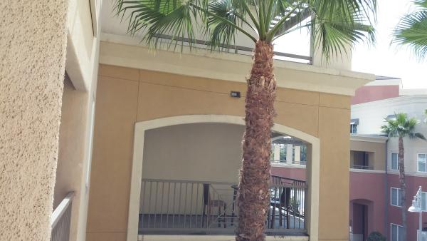 Medrano Co & Deck Coatings