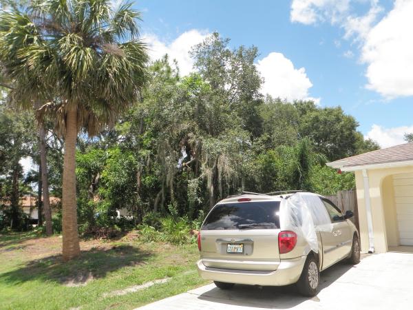 Steve Hazeltine Tree Services