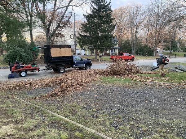 BAS Landscaping Services