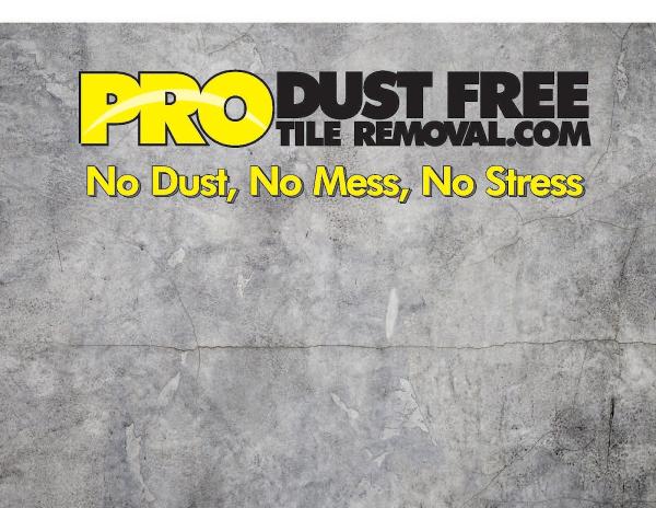 Pro Dust Free Tile Removal.com