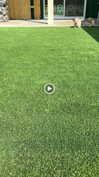 Premier Turf & Greens