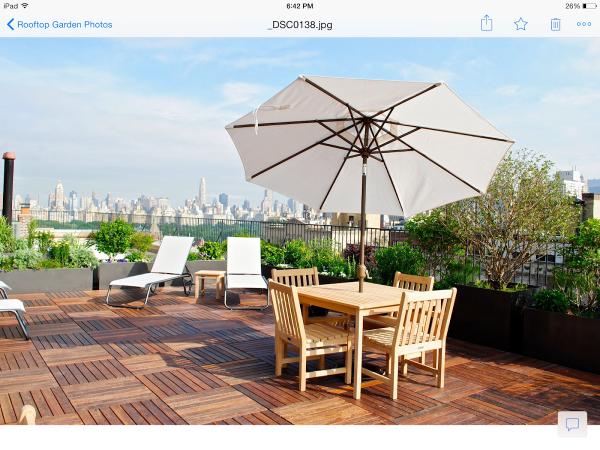 Blooming Urban Design Scapes