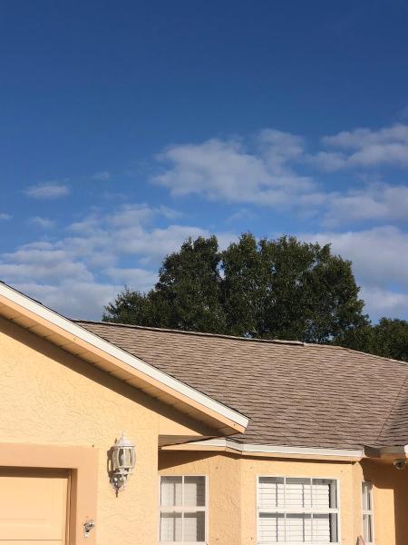 Amazon Roofing