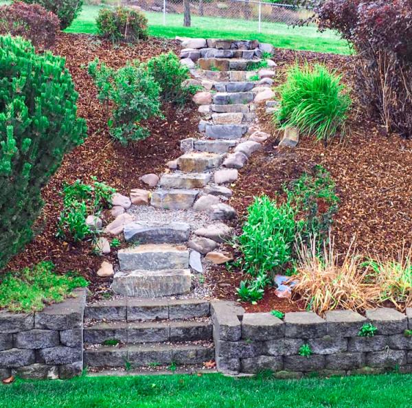 Black Mountain Lawn and Landscape