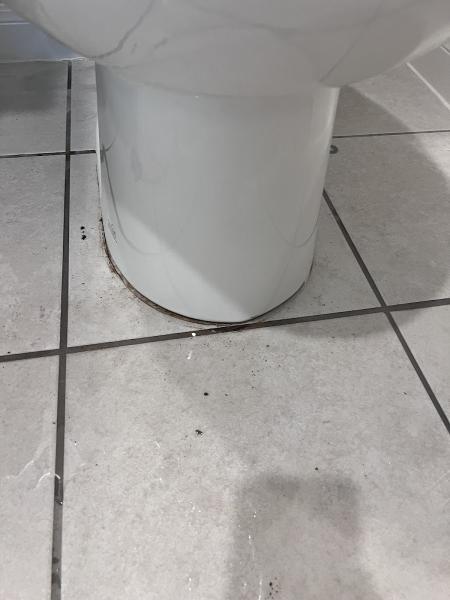 Premier Plumbers