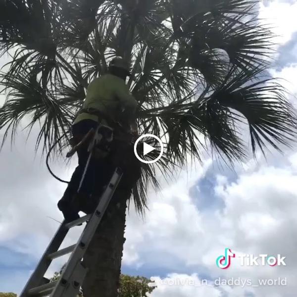 Sunview Landscapes & Pressure Cleaning