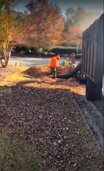 Delsur Landscaping LLC